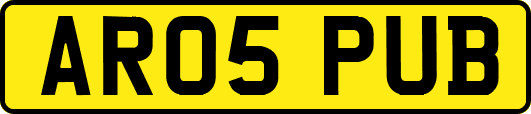 AR05PUB