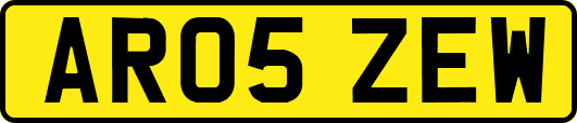 AR05ZEW