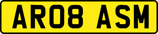 AR08ASM