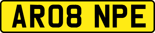 AR08NPE