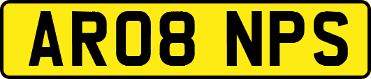 AR08NPS