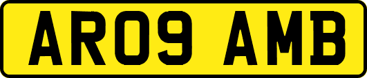 AR09AMB