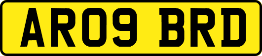 AR09BRD