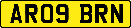 AR09BRN