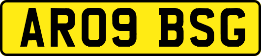 AR09BSG