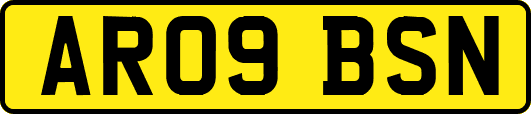 AR09BSN