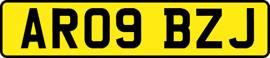 AR09BZJ