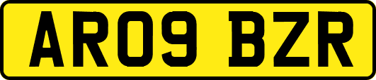 AR09BZR