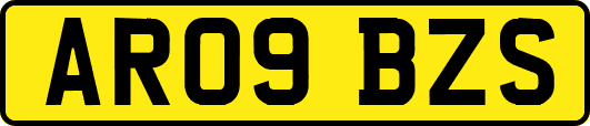 AR09BZS