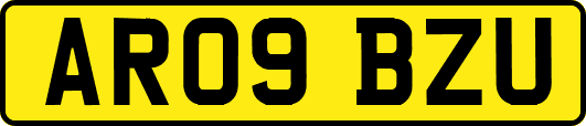AR09BZU