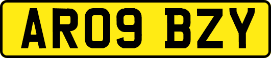 AR09BZY