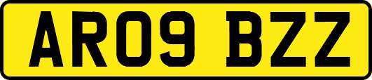 AR09BZZ