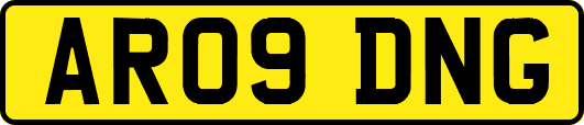 AR09DNG