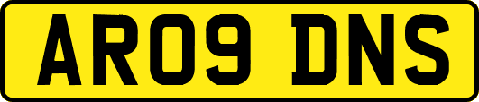 AR09DNS