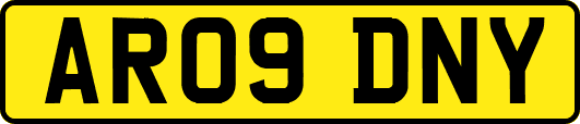 AR09DNY