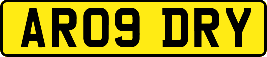 AR09DRY