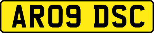 AR09DSC