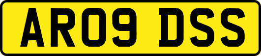 AR09DSS