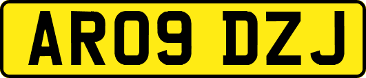 AR09DZJ