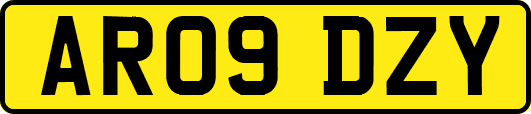 AR09DZY