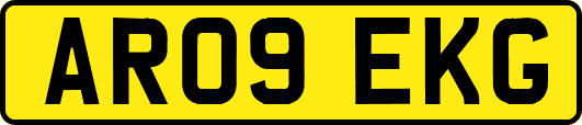 AR09EKG