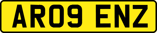 AR09ENZ