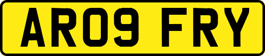 AR09FRY