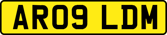 AR09LDM
