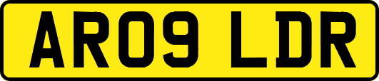 AR09LDR