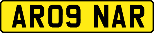 AR09NAR