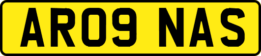 AR09NAS