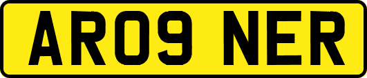AR09NER