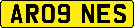 AR09NES
