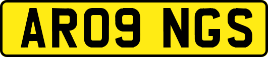 AR09NGS