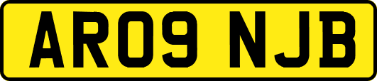 AR09NJB