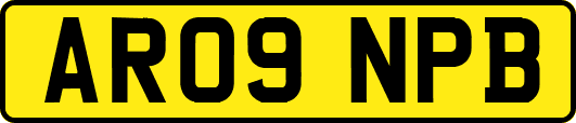 AR09NPB