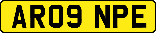 AR09NPE