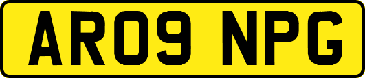 AR09NPG