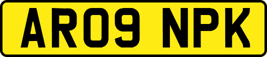 AR09NPK