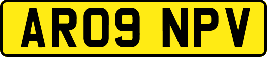 AR09NPV