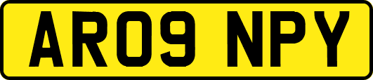 AR09NPY