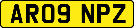 AR09NPZ