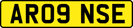 AR09NSE