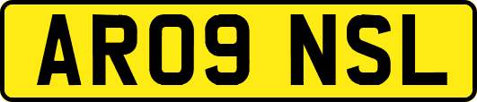 AR09NSL