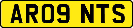 AR09NTS
