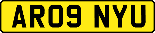 AR09NYU