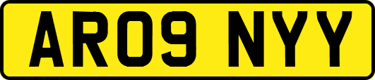 AR09NYY