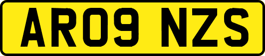 AR09NZS