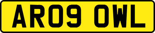 AR09OWL