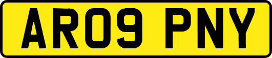 AR09PNY